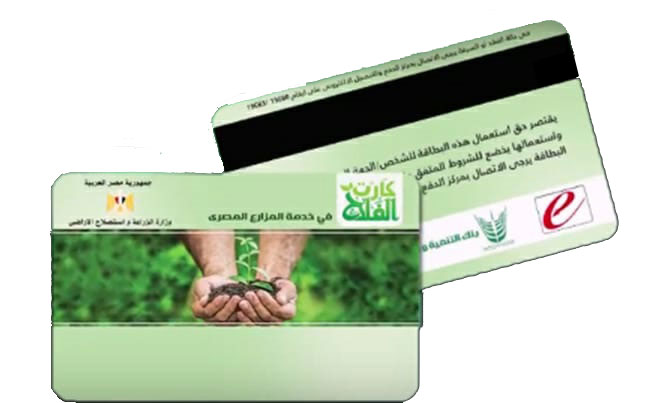 بطاقات التأمين والبطاقات التموينيةوالبطاقات الحكومية